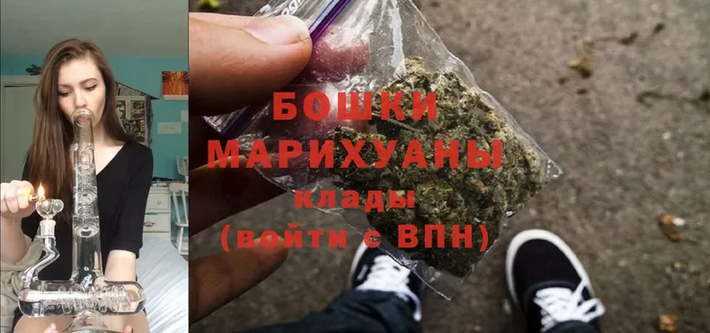 Канабис OG Kush  Дивногорск 